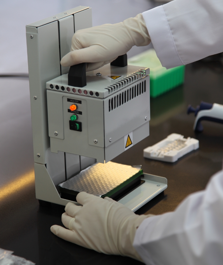 Diseño sin título (33)